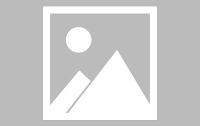 篮网阵容名单最新