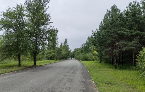 九游娱乐APP-关于社区盾今晚走向成谜，多特蒙德战术微调，话题不断，训练强度明显提升的信息